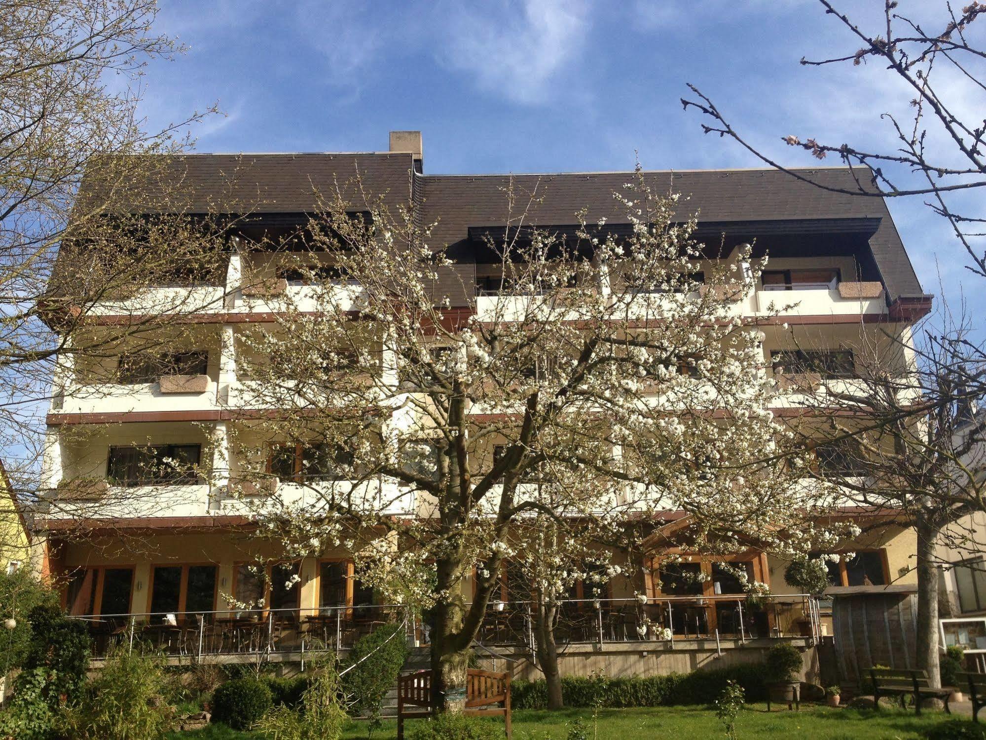 Hotel Weingut Dehren Ellenz-Poltersdorf Bagian luar foto