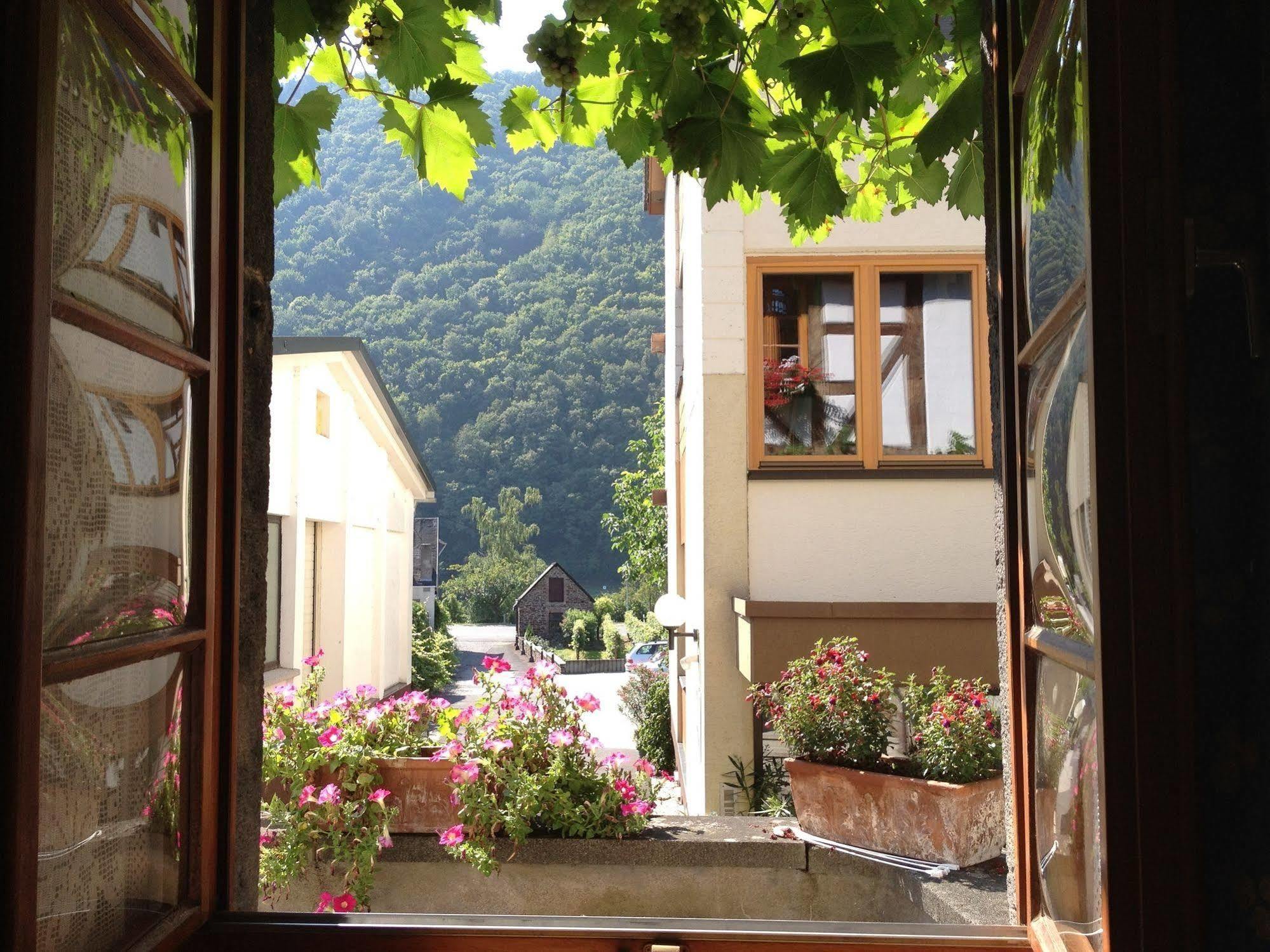 Hotel Weingut Dehren Ellenz-Poltersdorf Bagian luar foto